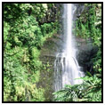 Scarborough